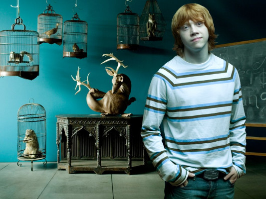Rupert Grint pic #231588