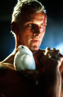 photo 27 in Rutger Hauer gallery [id186444] 2009-10-02 00:00:00