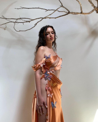 Sabrina Claudio pic #1264636