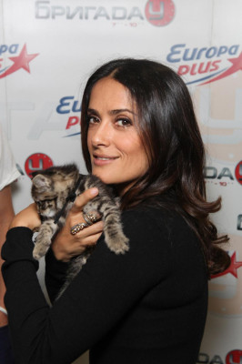 Salma Hayek pic #407397