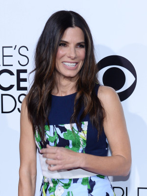 photo 3 in Sandra Bullock gallery [id663262] 2014-01-21 00:00:00