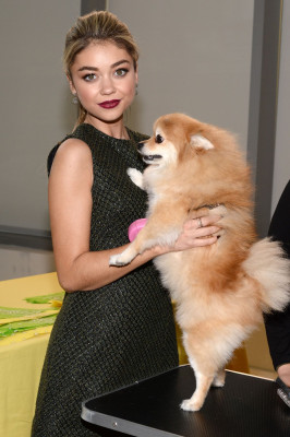 Sarah Hyland pic #736435