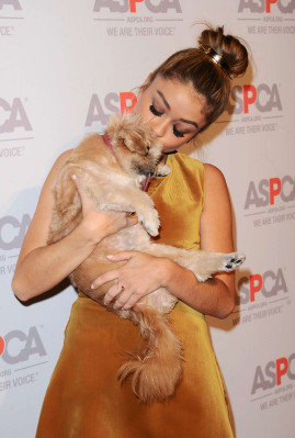 Sarah Hyland pic #887713
