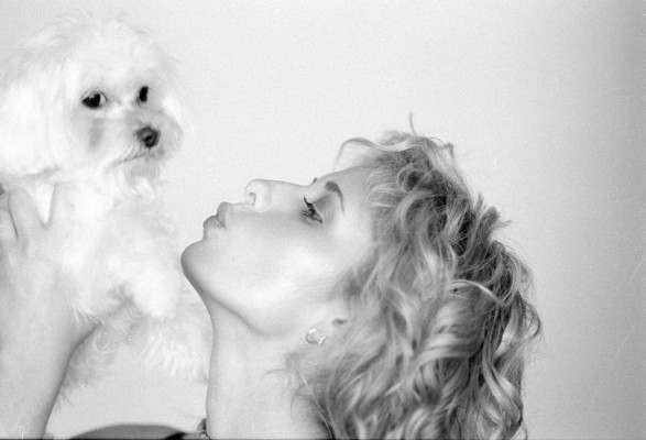 Sarah Michelle Gellar pic #213064