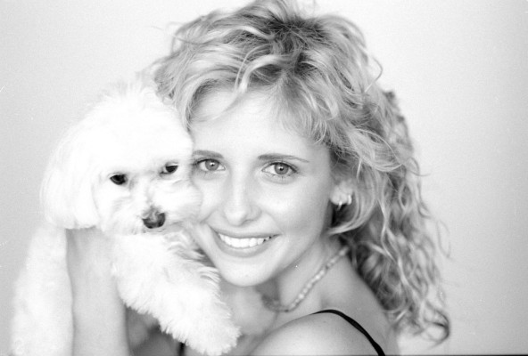 Sarah Michelle Gellar pic #86421
