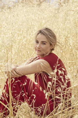 photo 10 in Shailene Woodley gallery [id960933] 2017-09-06 00:00:00