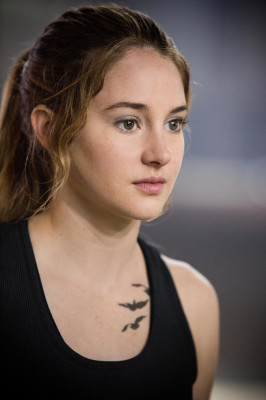 Shailene Woodley pic #874414