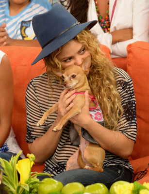 Shakira Mebarak pic #718636