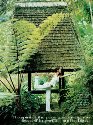 Shalom Harlow pic #23326