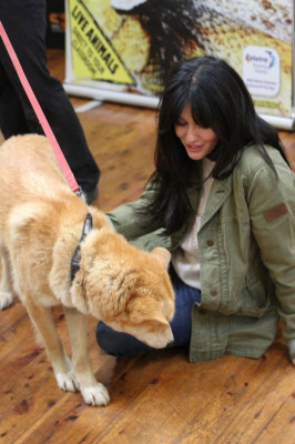 Shannen Doherty pic #646208