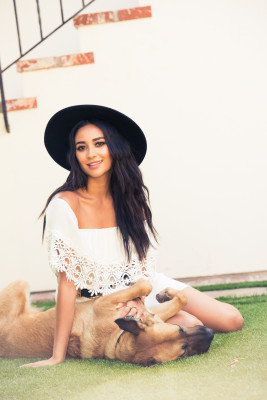 Shay Mitchell pic #793191