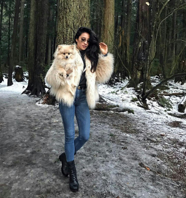 Shay Mitchell pic #900966