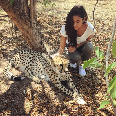Shay Mitchell pic #814106