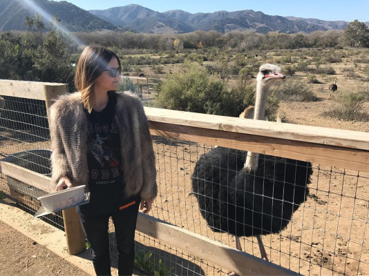 Shelley Hennig pic #899779