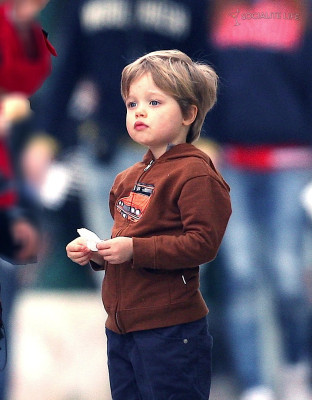 photo 27 in Jolie-Pitt gallery [id251409] 2010-04-27 00:00:00