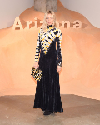 Sienna Miller pic #1008193