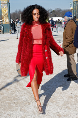 photo 29 in Solange Knowles gallery [id763930] 2015-03-13 00:00:00