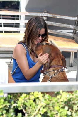 Sophia Bush pic #537336