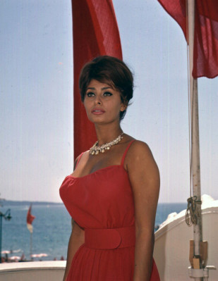 Sophia Loren pic #371142