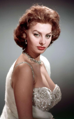 Sophia Loren pic #361816
