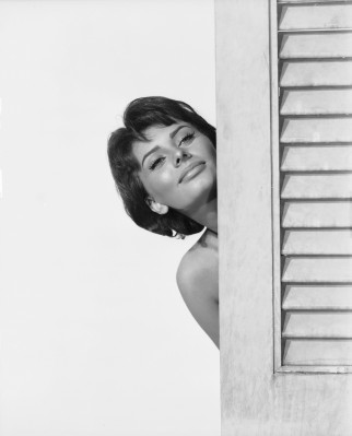 Sophia Loren pic #149930