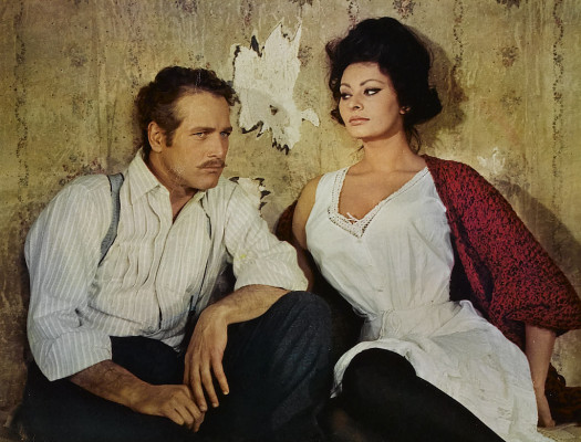 Sophia Loren pic #279166