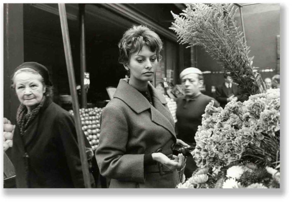 Sophia Loren pic #50542