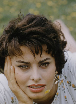 Sophia Loren pic #193769