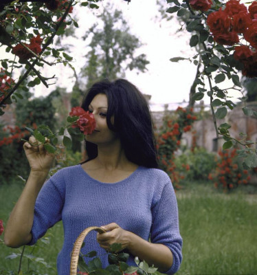 Sophia Loren pic #150007