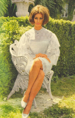Sophia Loren pic #149928