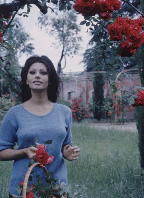 photo 15 in Sophia Loren gallery [id484382] 2012-05-02 00:00:00