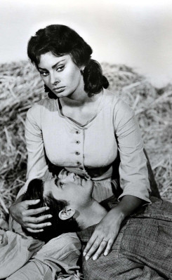 Sophia Loren pic #476434