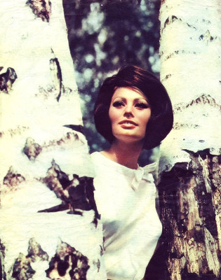Sophia Loren pic #384174
