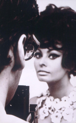 Sophia Loren pic #344772