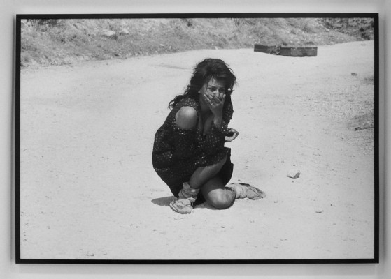 Sophia Loren pic #461217