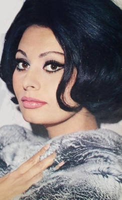 Sophia Loren pic #375249