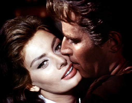 Sophia Loren pic #369969