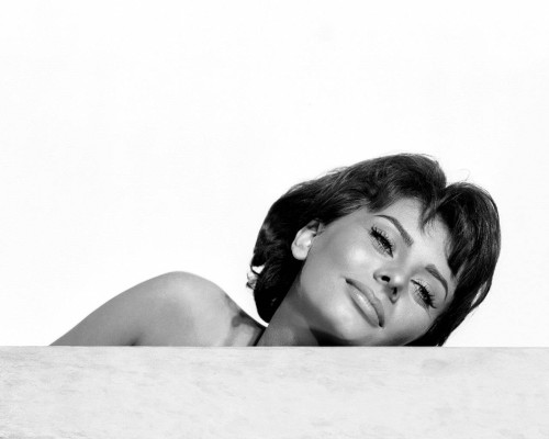 Sophia Loren pic #374245
