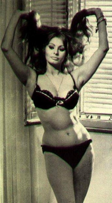 Sophia Loren pic #150000