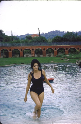 Sophia Loren pic #243000