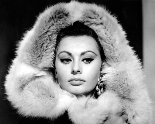 Sophia Loren pic #1115624