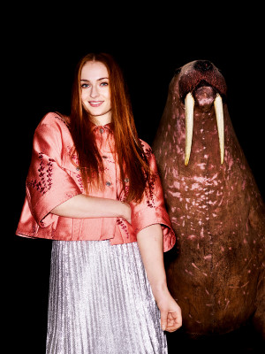 Sophie Turner (actress) pic #845686
