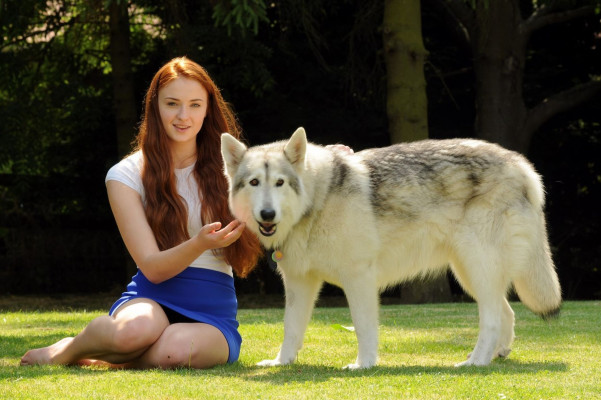 Sophie Turner (actress) pic #738721