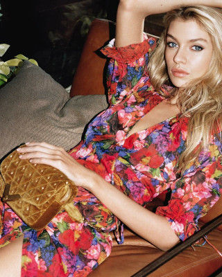 Stella Maxwell pic #1117213