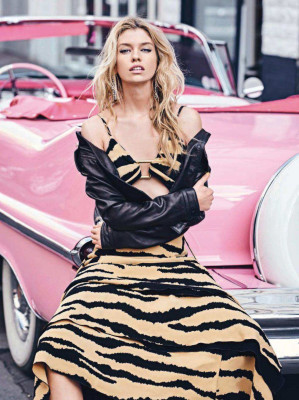 Stella Maxwell pic #1061305