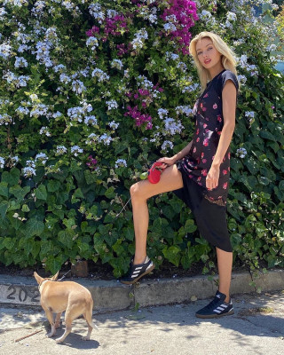 Stella Maxwell pic #1232687