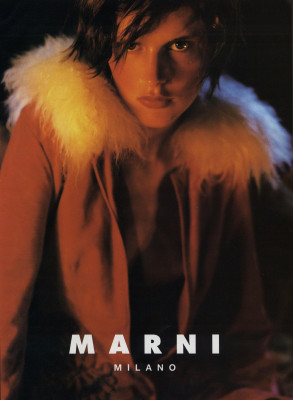 Stella Tennant pic #1373646