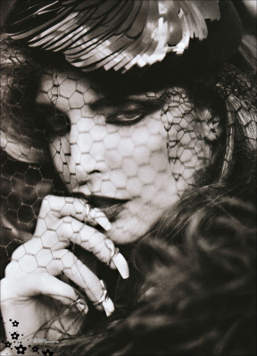 Stephanie Seymour pic #260545