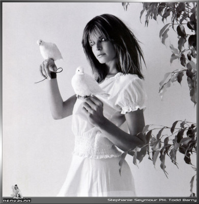Stephanie Seymour pic #26709
