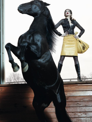 Stephanie Seymour pic #257689